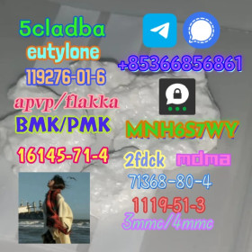 Brand new bmk/pmk factory direct sale raw material