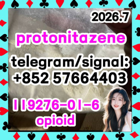 cas 119276-01-6 protonitazene (hydrochloride)