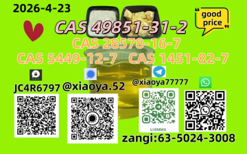 NEW BMK/PMK CAS 49851-31-2 CAS 28578-16-7In Stock