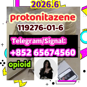 Protonitazene CAS 119276-01-6  (hydrochloride)，opioid