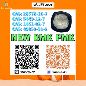 PMK CAS 28578-16-7 Immediate Routing Access