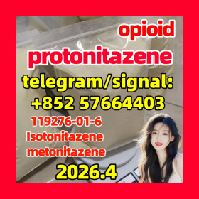 Protonitazene 119276-01-6 Opioid