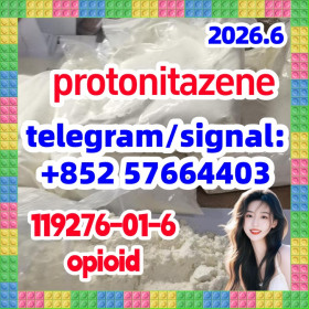 CAS:119276-01-6 Protonitazene Hot sell,High quality