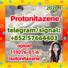 119276-01-6 Protonitazene hydrochloride