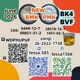 28578-16-7 Premium PMK Quality High Purity NEW Direct Supply