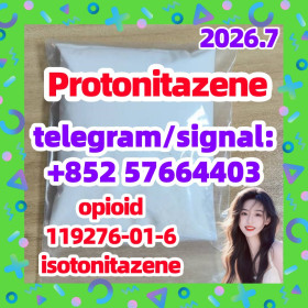 CAS 119276-01-6 Protonitazene