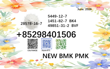 Buy BMK5449-12-7 ethyl glycidate PMK 28578-16-7 factory
