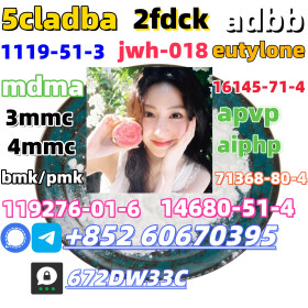 Safe delivery CAS 119276-01-6 China factory