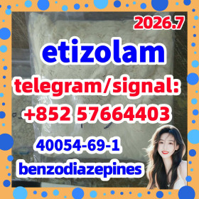 40054-69-1 etizolam