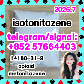 Isotonitazene (CAS Number: 14188-81-9)