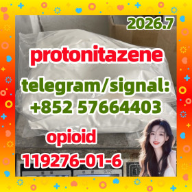 CAS: 119276-01-6 Protonitazene (hydrochloride)