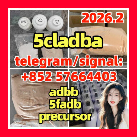 5cladba precursor 5cl raw materials 5cladb 5cladba