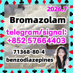Bromazolam CAS 71368-80-4
