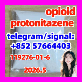 Factory Produces High Quality cas.119276-01-6 Protonitazene