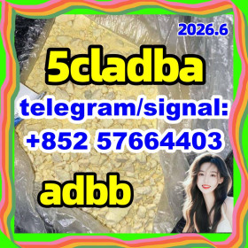 5CL-ADB-A powder 5-cl-adb-a Powders 5cladba Hot