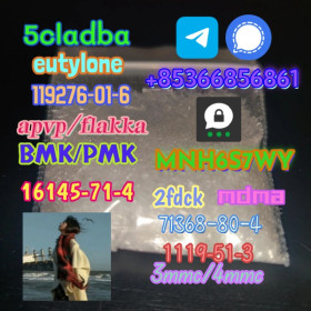 Brand new bmk/pmk factory direct sale raw material
