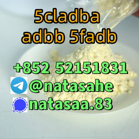 5cladba 5cl yellow powder 5cladba from best supplier
