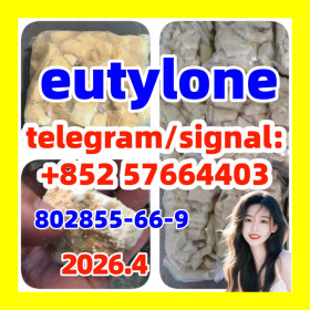802855-66-9 Eutylone Bkebdp Top Quality