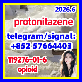 CAS: 119276-01-6 Protonitazene (hydrochloride)