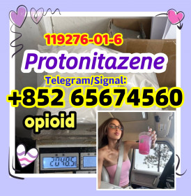 Protonitazene CAS 119276-01-6  (hydrochloride)，opioid，telegram/signal+852 65674560