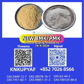 PMK 28578-16-7 with BMK 5449-12-7 fast shipment possible
