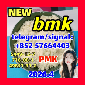 5449-12-7 BMK Glycidic (sodium salt) 5449-12-7