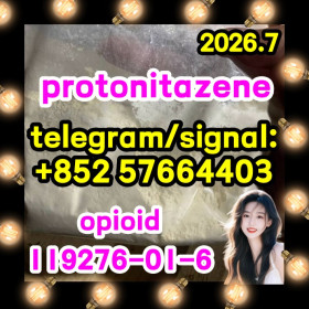 Cas 119276-01-6 Protonitazene hydrochloride China factory price