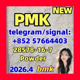 Hot Selling Pharmaceutical Intermediates EU Russian PMK CAS 28578-16-7