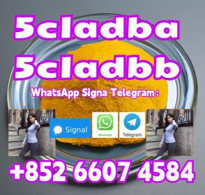 99% Pure yellow Powder 5cladba 5cladbb 5clAdbb Jwh-018