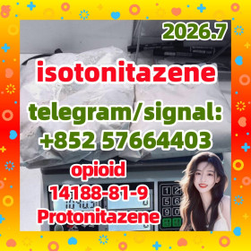 Isotonitazene (CRM) (CAS Number: 14188-81-9)