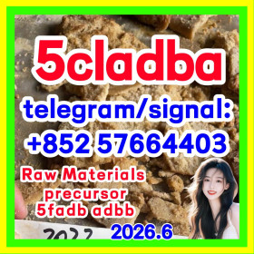 Strongest 5cladba raw material 5CL-ADB-A precursor powder and liquid