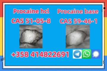 uhnjhProcaine Hcl Cas 51-05-8 China Factory Direct Sale