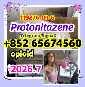 Protonitazene CAS 119276-01-6  (hydrochloride)，opioid，