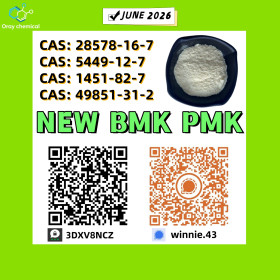 China Reliable Supplier PM.K CAS 28578-16 -7