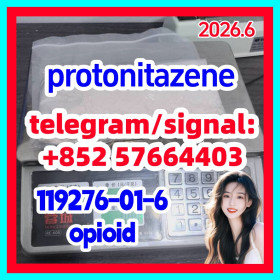 white powder Protonitazene(hudrochloride) CAS 119276-01-6