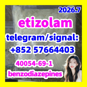 etizolam 40054-69-1
