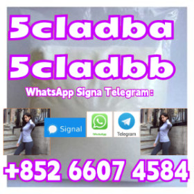 5cladb 5cl 5cladbb 5fadb 4fadb cas120-72-9