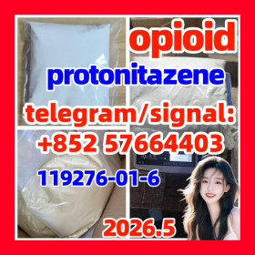 CAS: 119276-01-6 Protonitazene opioid  isotonitazene (hydrochloride)