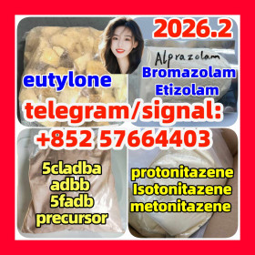 5cladba adbb Raw Materials eutylone  protonitazene