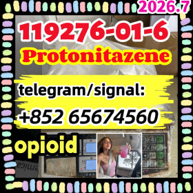 Protonitazene CAS 119276-01-6  (hydrochloride)，opioid