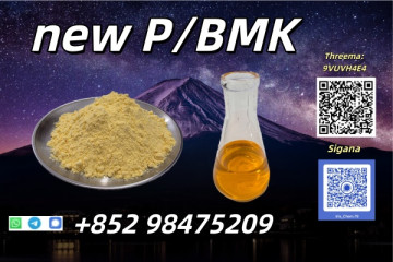 NEW PMK BMK CAS 5337-93-9 Powder Oil Stable Supplier