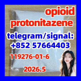 CAS 119276-01-6 Protonitazene opioid