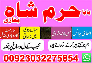 amil baba, black magic specialist in pakistan, usa, uk