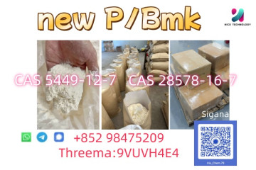 NEW PMK BMK CAS 5449-12-7 Fast delivery