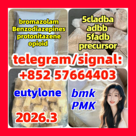 PMK CAS 28578-16-7 PMK ethyl glycidate-