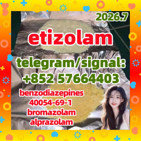etizolam 40054-69-1
