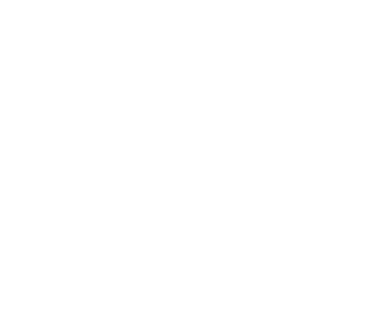 RAM Icon
