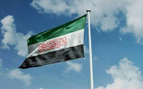 "حكومة الإنقاذ السورية" تستبدل رايتها بعلم جديد!