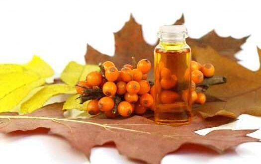 فوائد عسل السدر و أهم إستخداماته