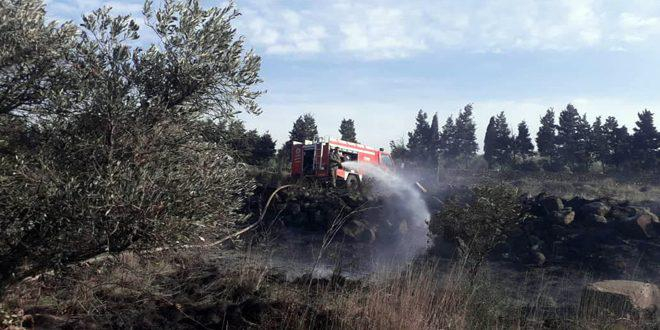 إخماد حريق طال أشجاراً مثمرة بريف حمص الغربي